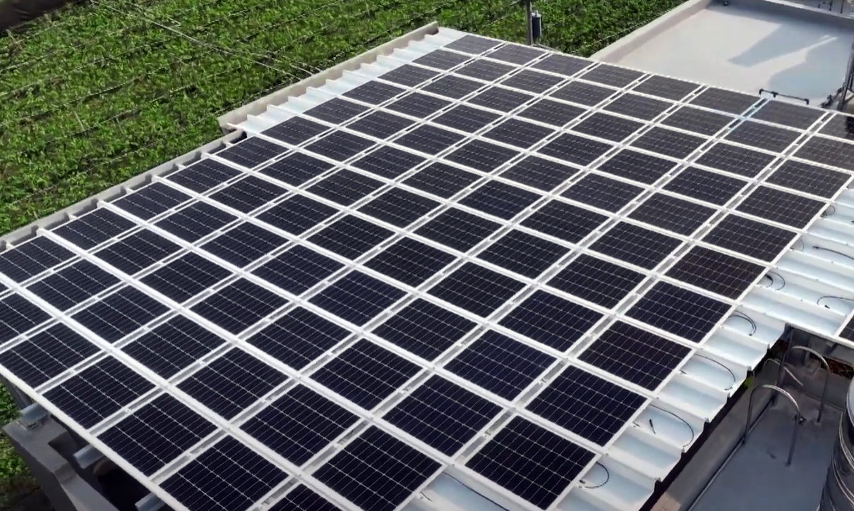 z6尊龙(中国有限公司)-官方网站SunSteel光电浪板升级双玻结构，以提升机械负载强度及气候耐候度，可广泛运用于多元场域